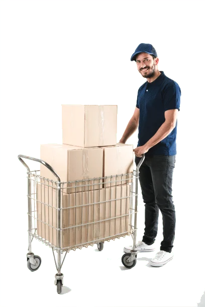 furniture movers and packers 123